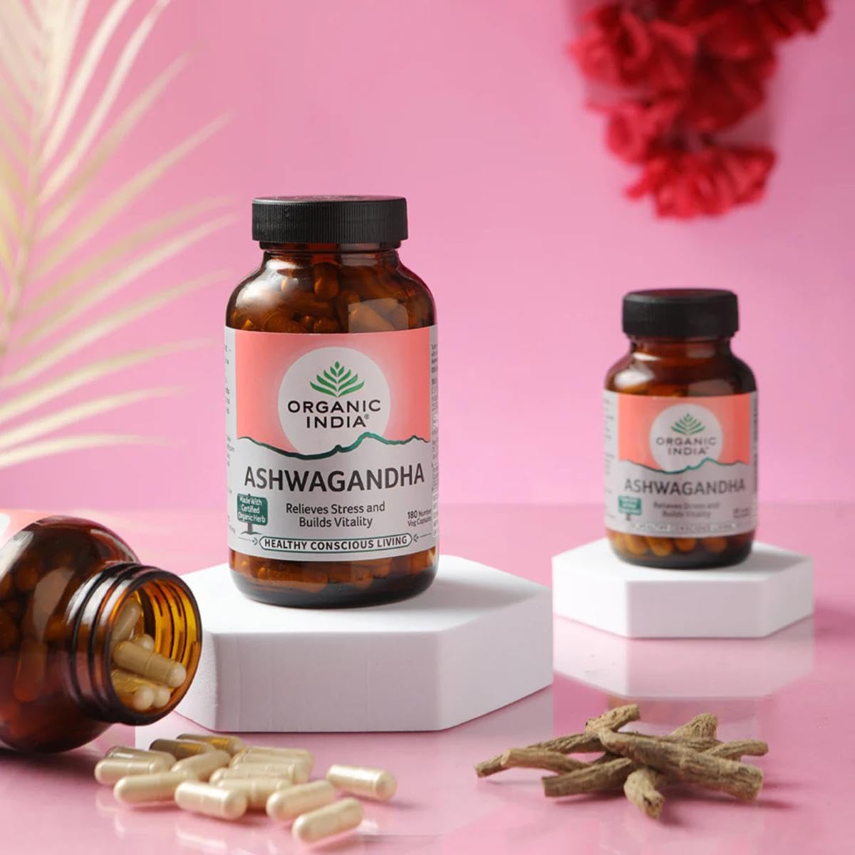 Organic India Ashwagandha Capsules - 60 Veg Caps, Vitality & Relieves Stress, Naturally Boosts Energy & Stamina, Improves Immune System