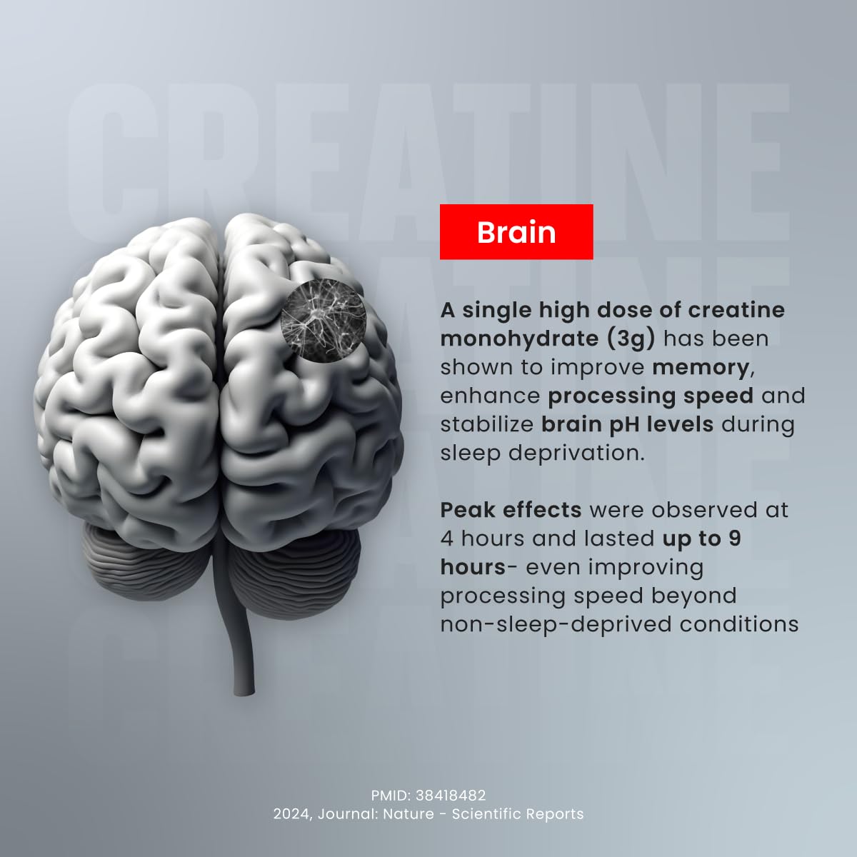 Creatine [155g, 50 Servings]| Blueberry | Micronized Creatine Monohydrate