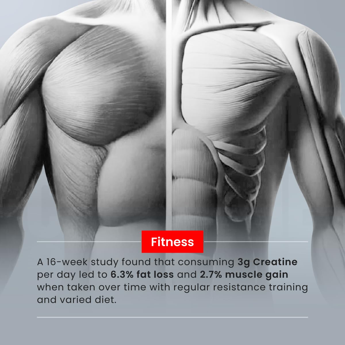 Creatine [155g, 50 Servings]| Blueberry | Micronized Creatine Monohydrate