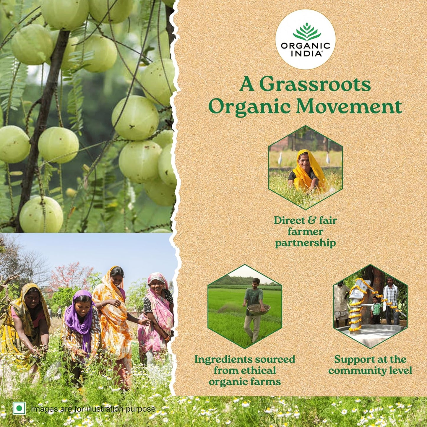 Organic India Moringa Capsules